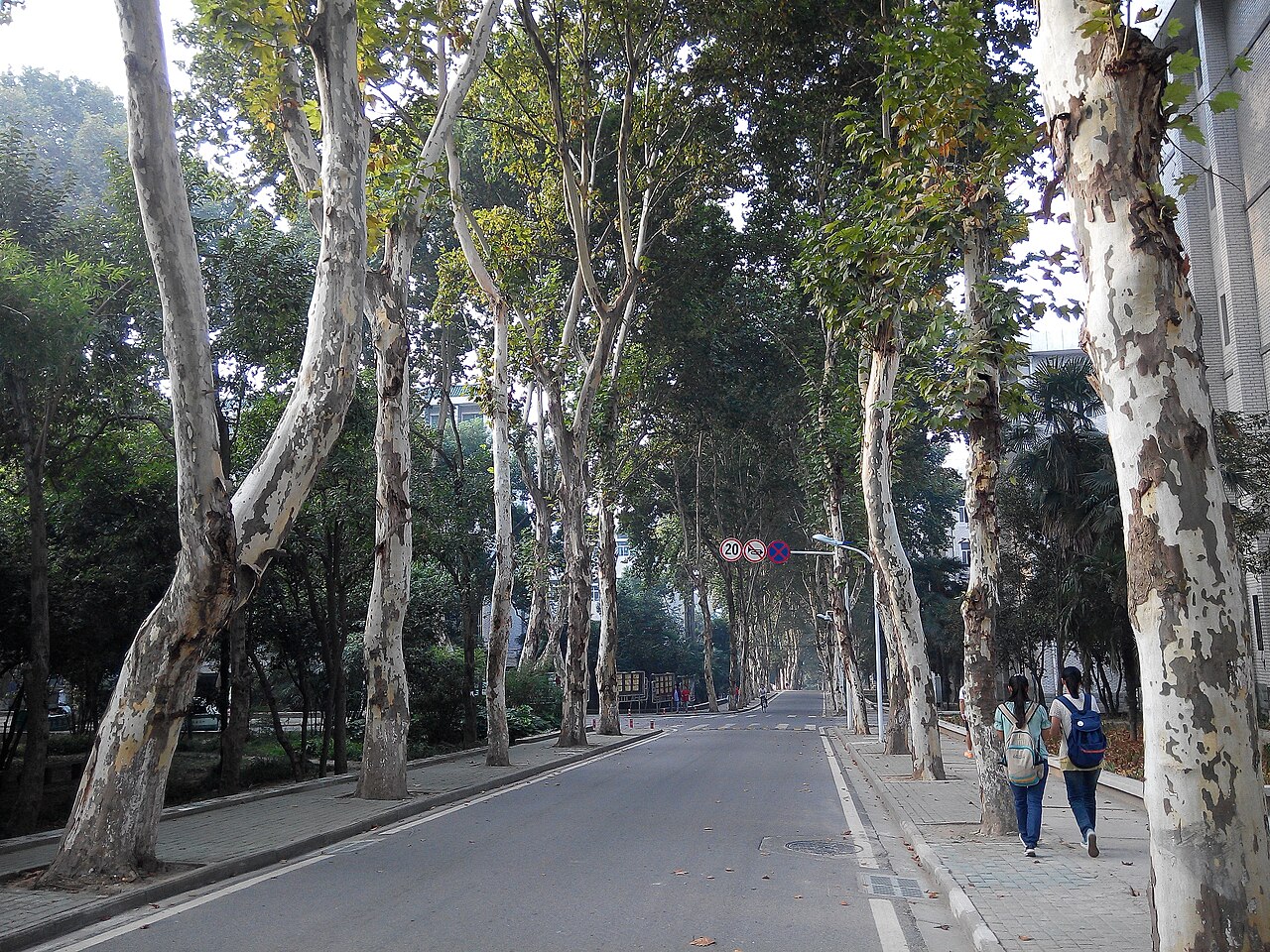 جامعة ووهان للتكنولوجيا