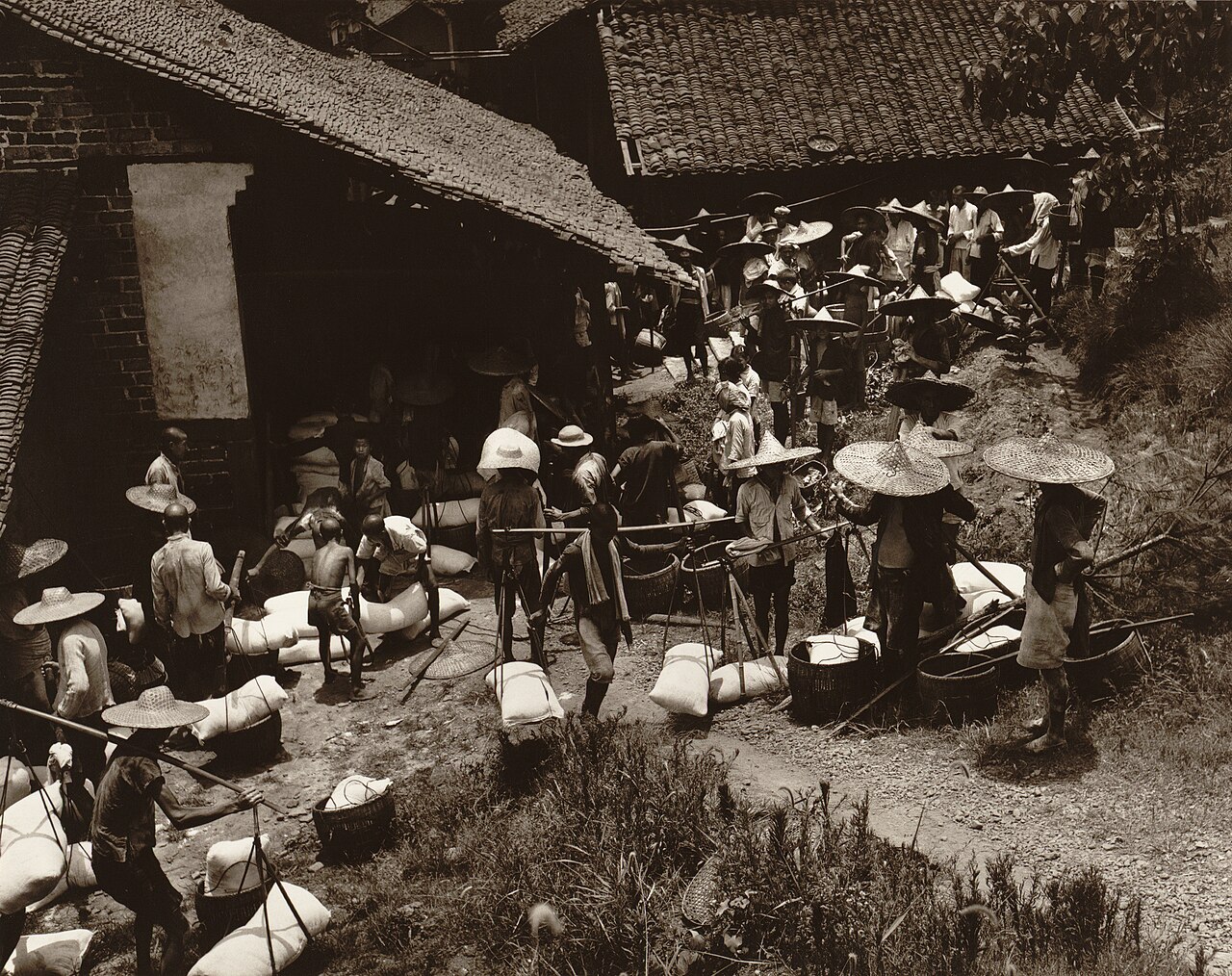 江苏师范大学