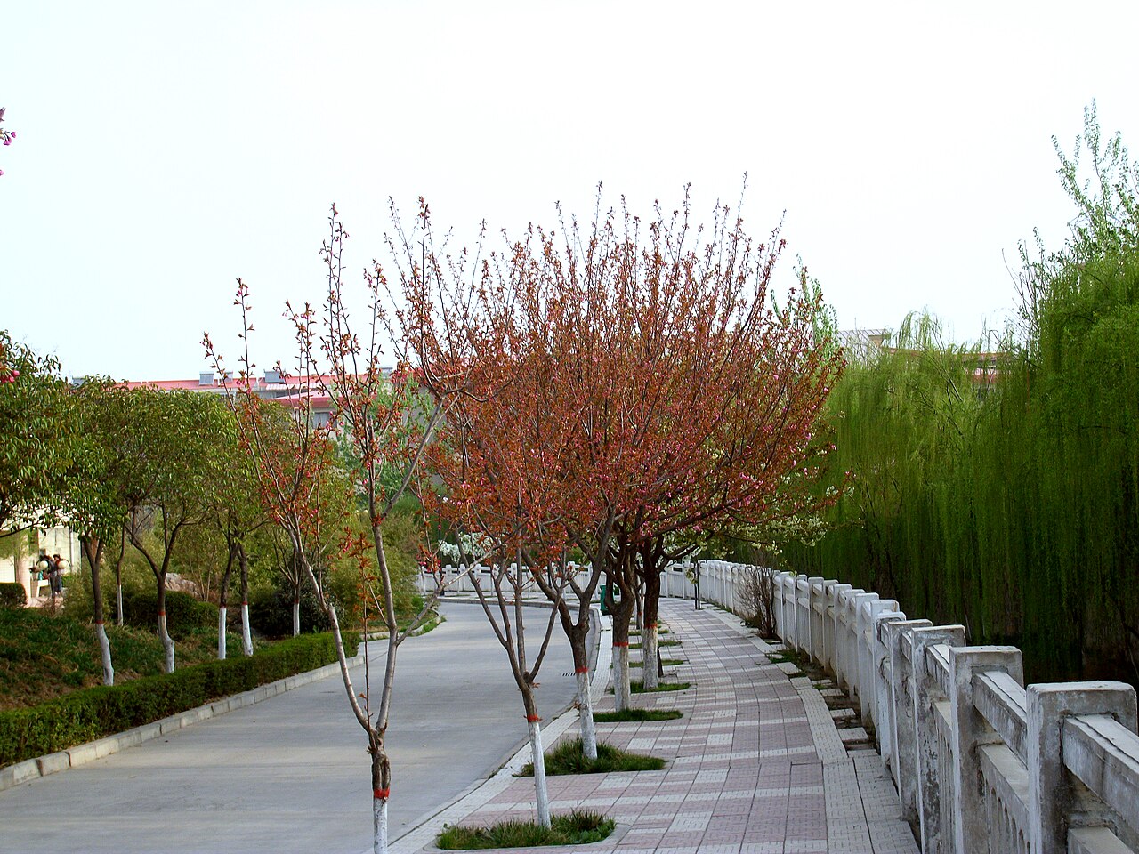 西安科技大学
