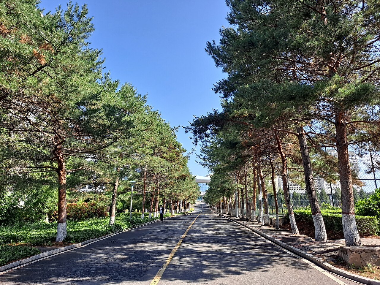Yanbian University