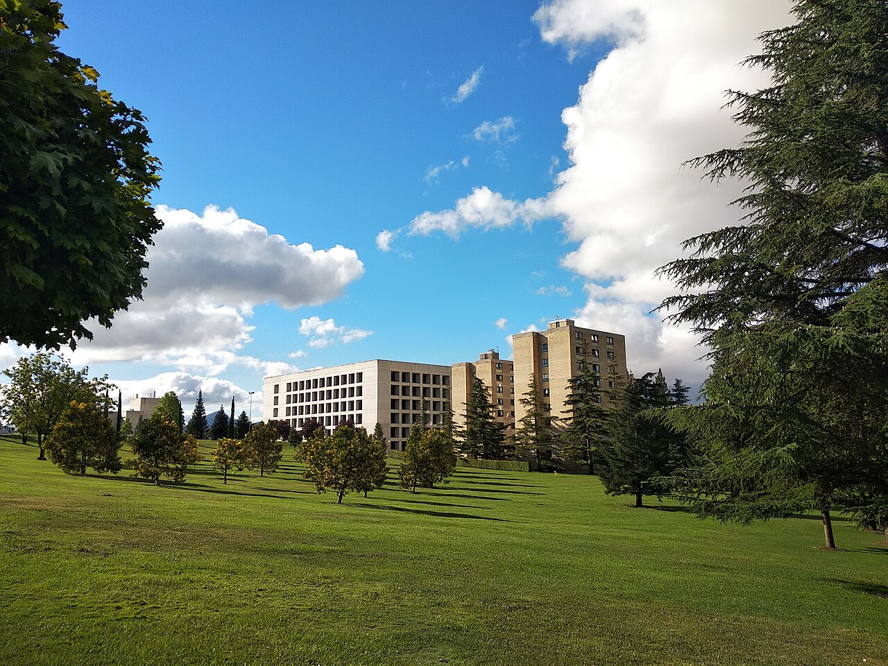 Yang-En University