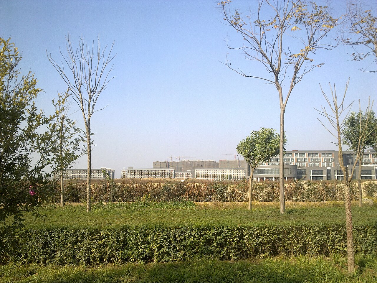Henan University of Economics and Law