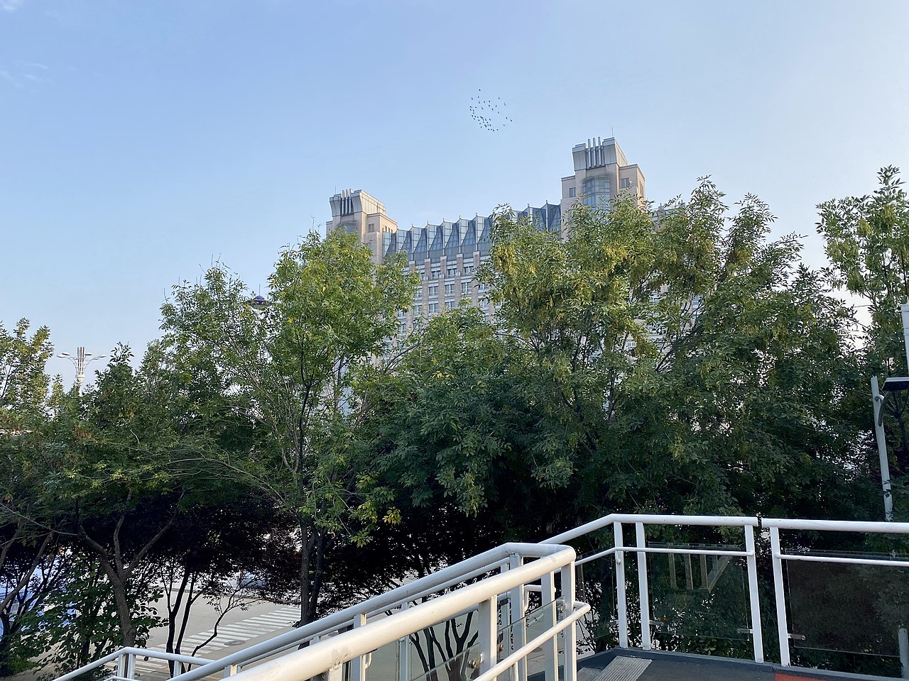 جامعة خبي