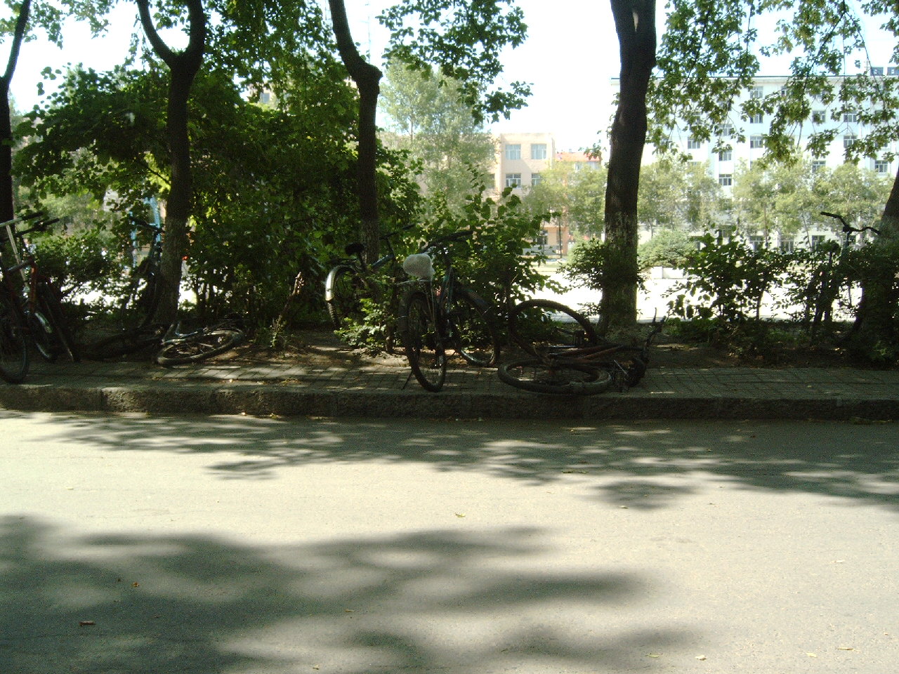 佳木斯大学