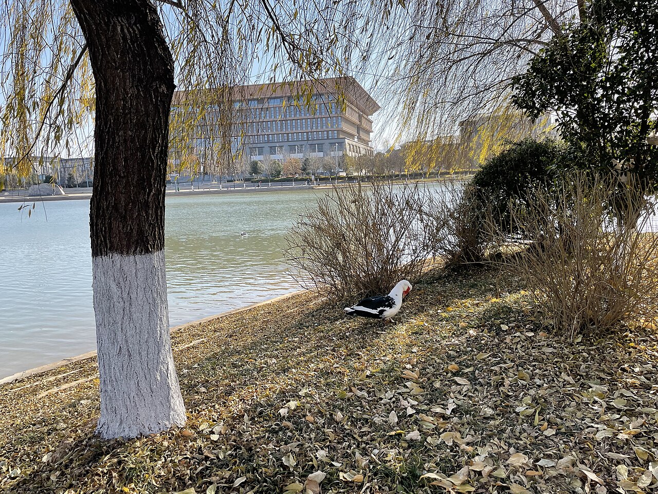 Luoyang Normal University