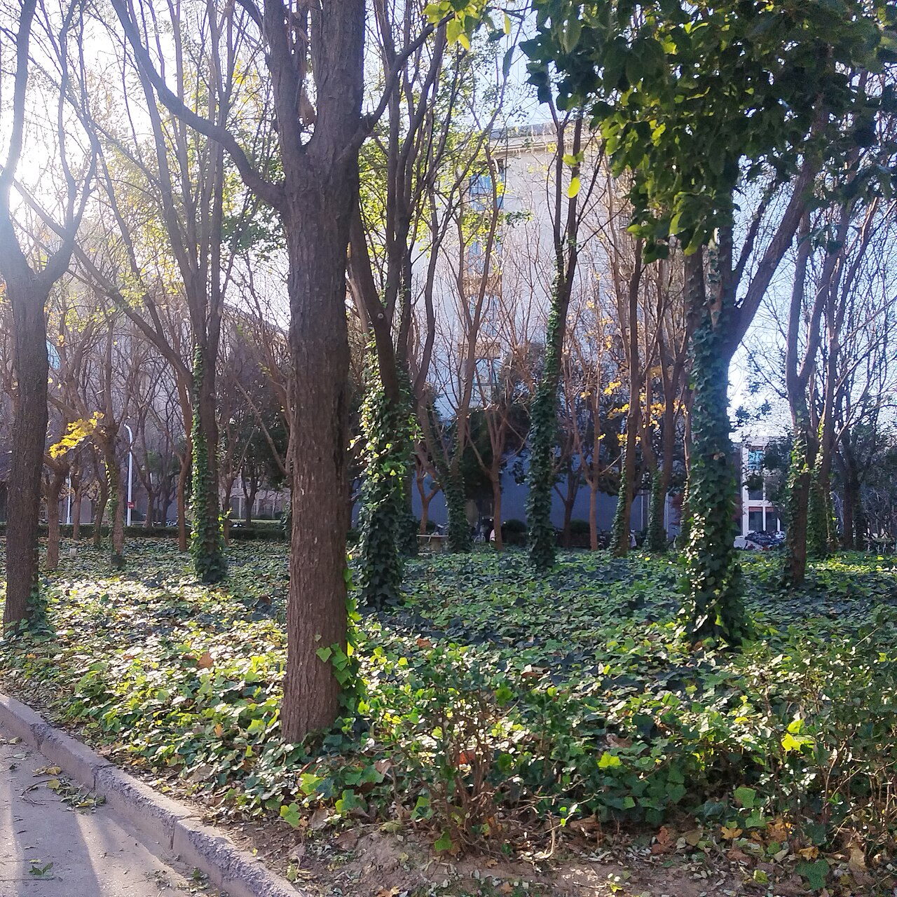 كلية خنان للشرطة