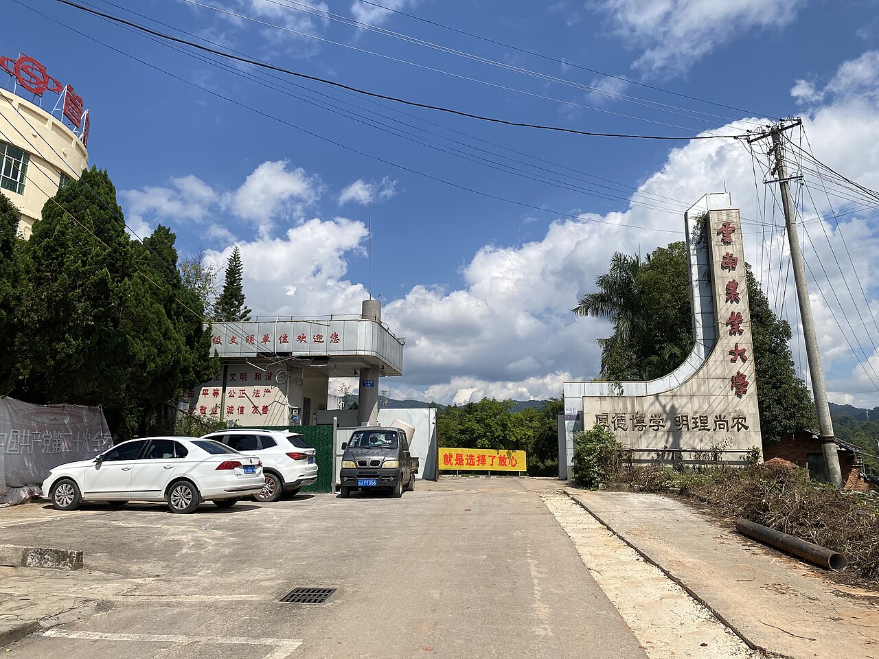 جامعة بوير