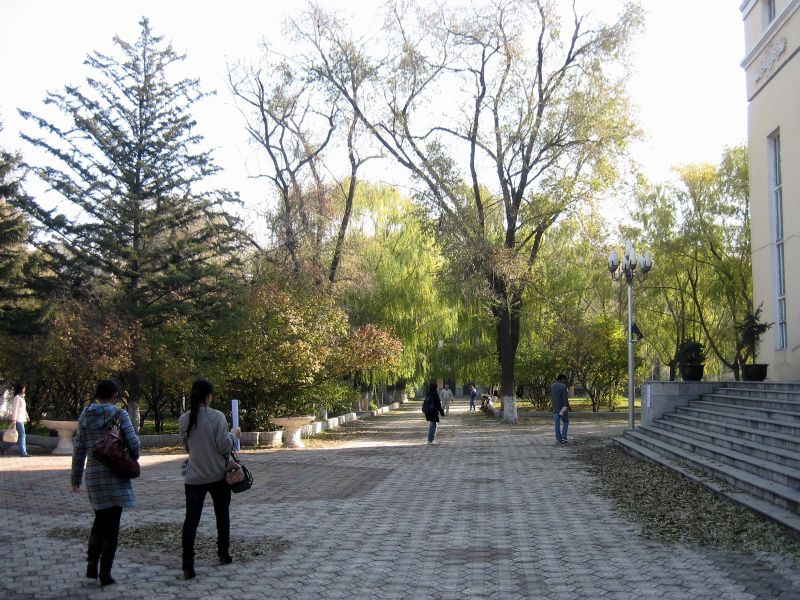 Harbin University