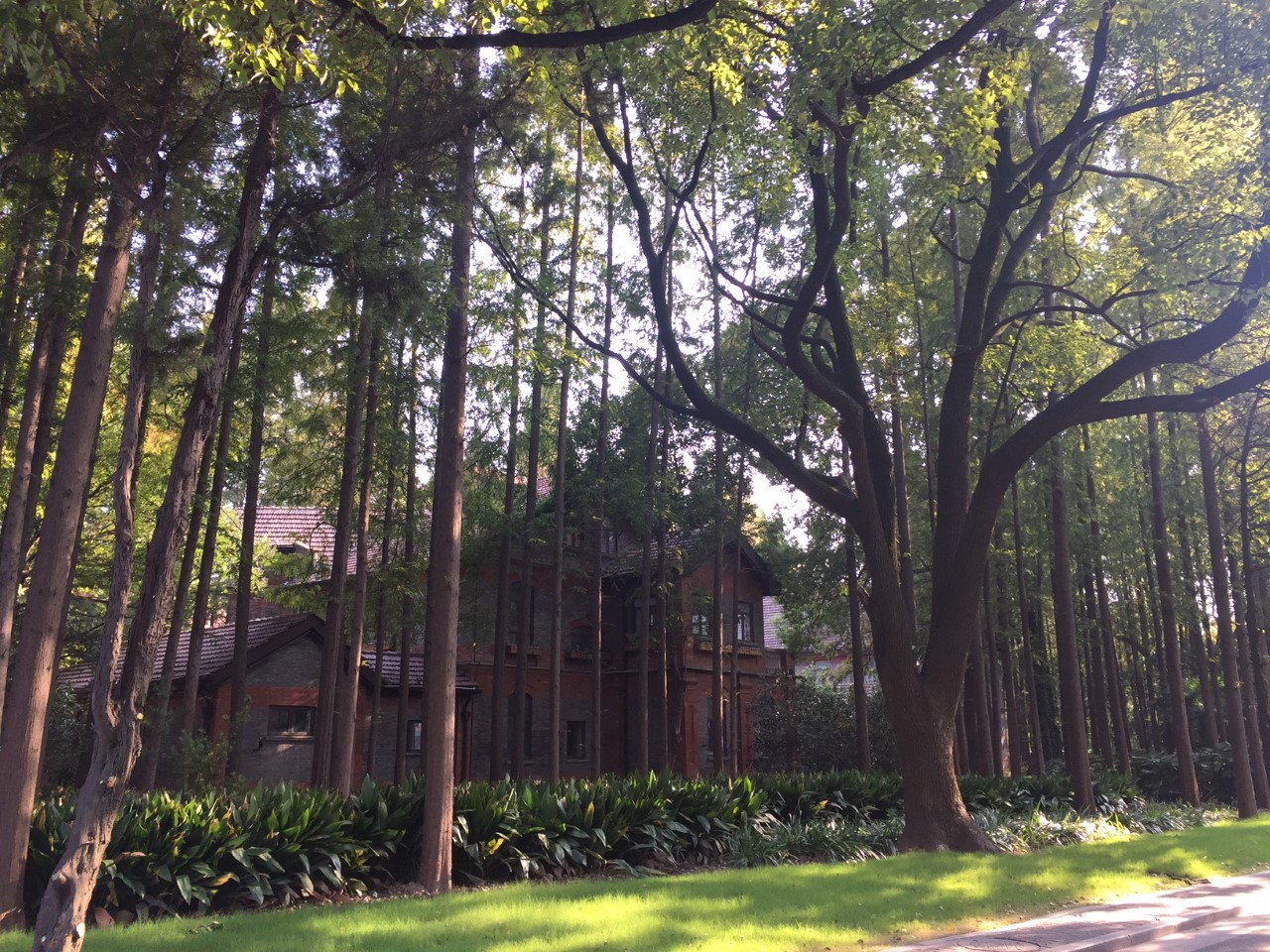上海理工大学