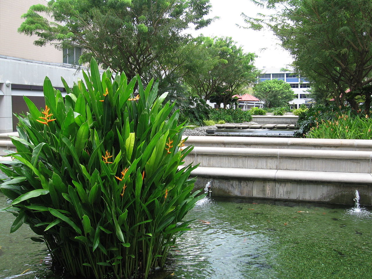 Nanyang Institute of Technology