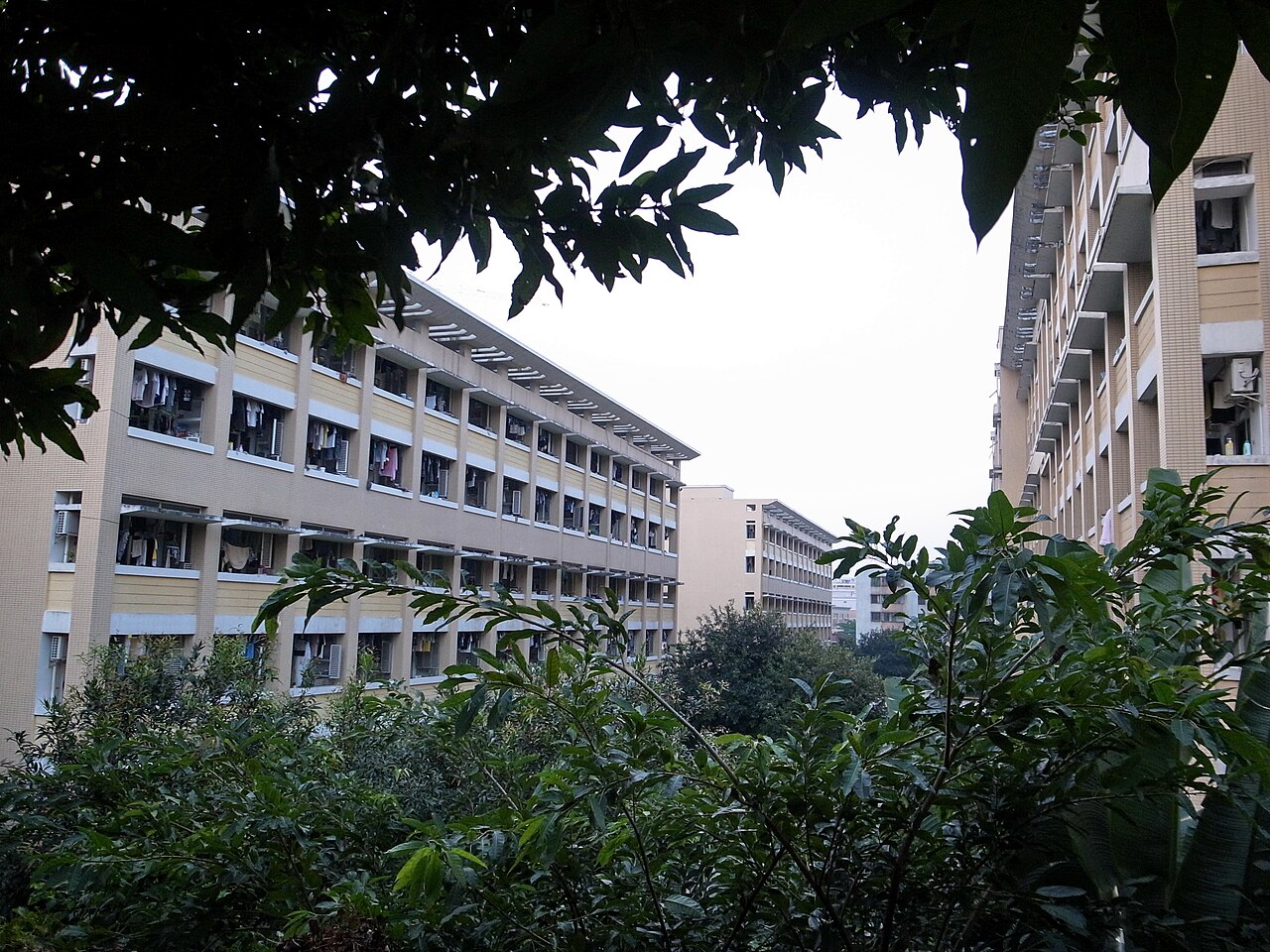 معهد تشونغشان بجامعة العلوم والتكنولوجيا الإلكترونية في الصين