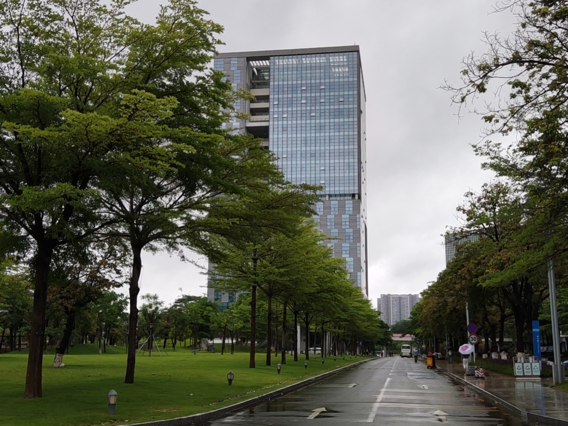 Shenzhen Institute of Information Technology