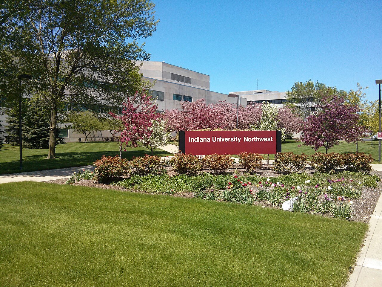 Northwest University