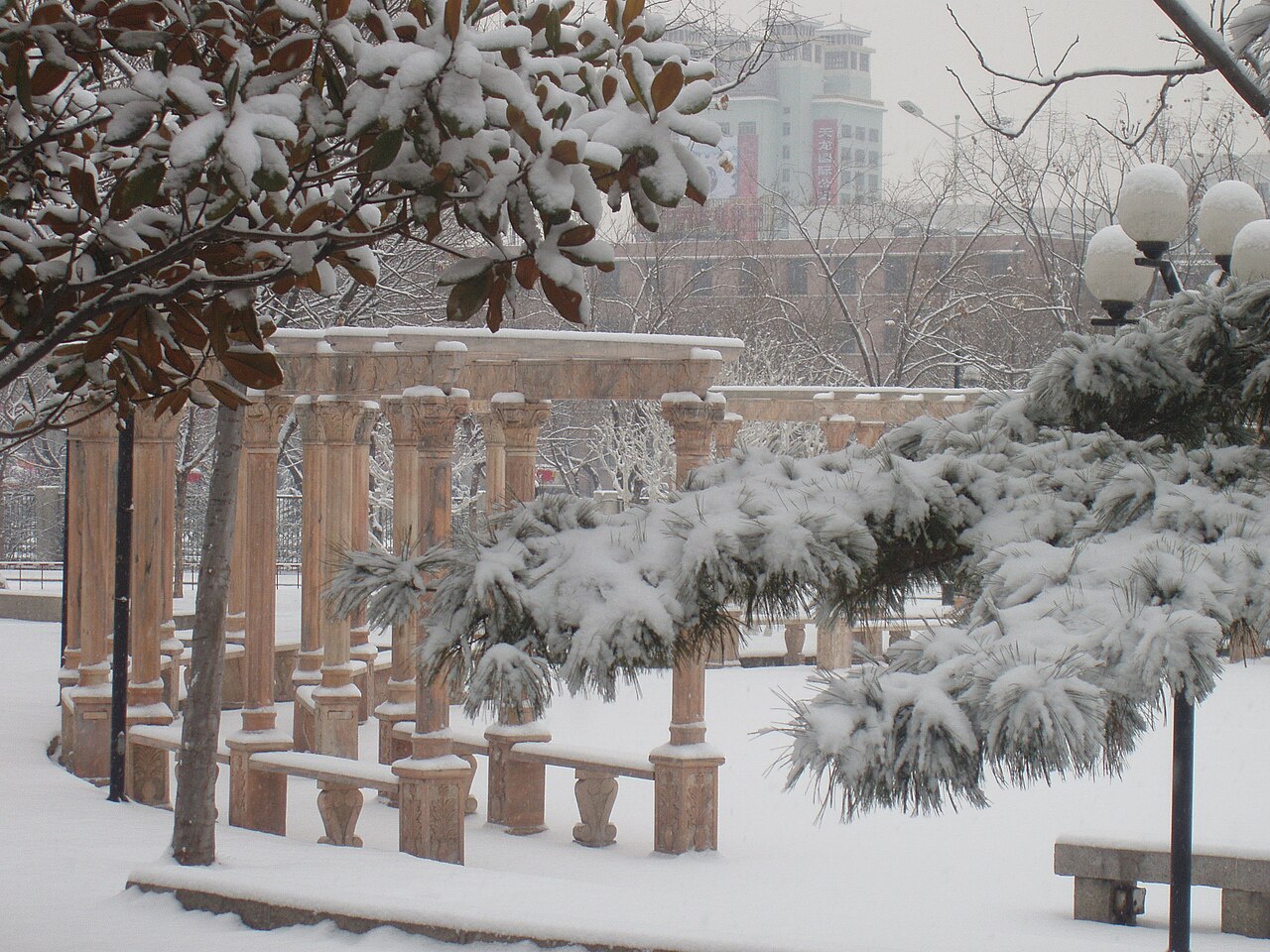 山东农业大学