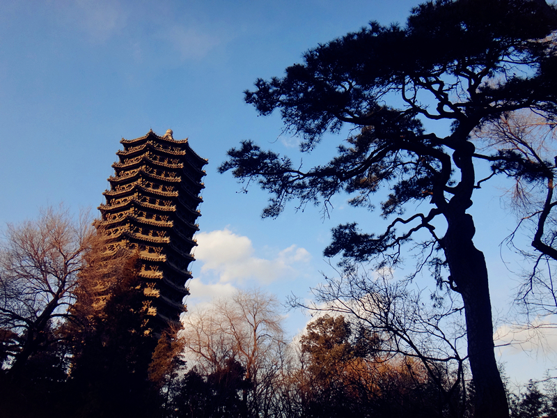 香港大学