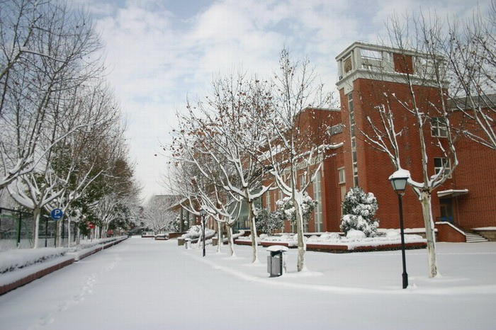 جامعة سانجيانغ
