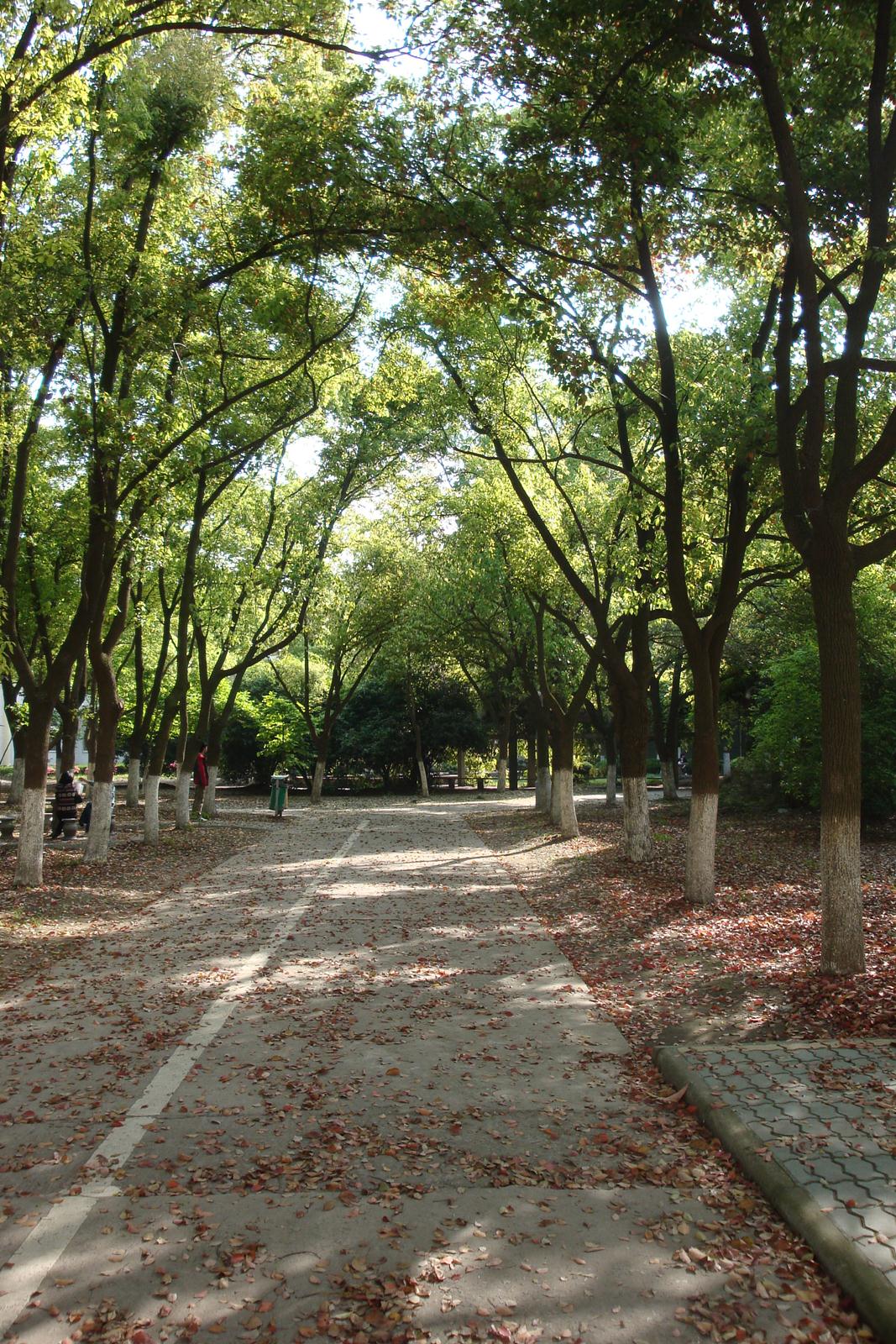 宁波大学