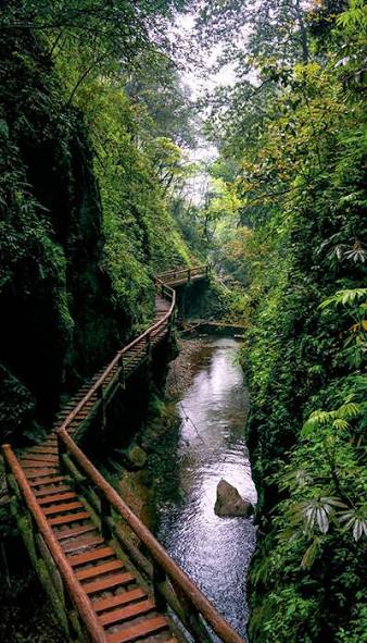 Mount Qingcheng