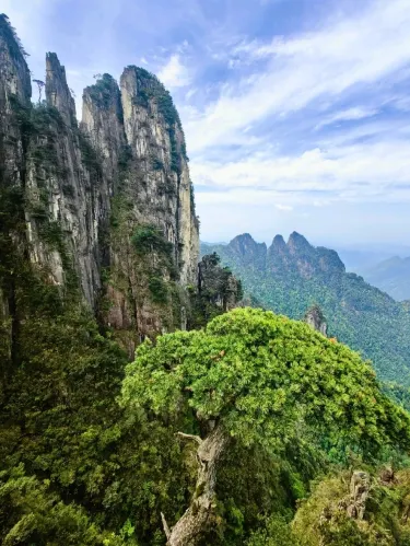 五指山