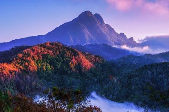 五指山