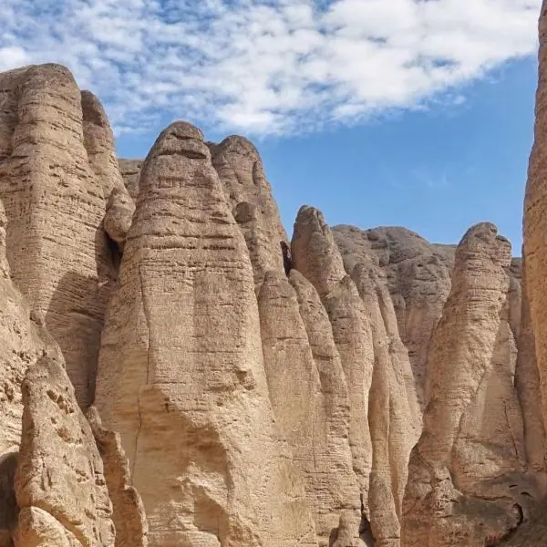 غابة الحجارة على النهر الأصفر