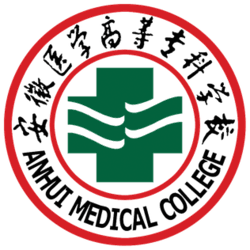 Anhui Second Medical College
