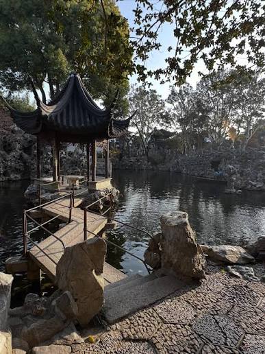 Lion Grove Garden