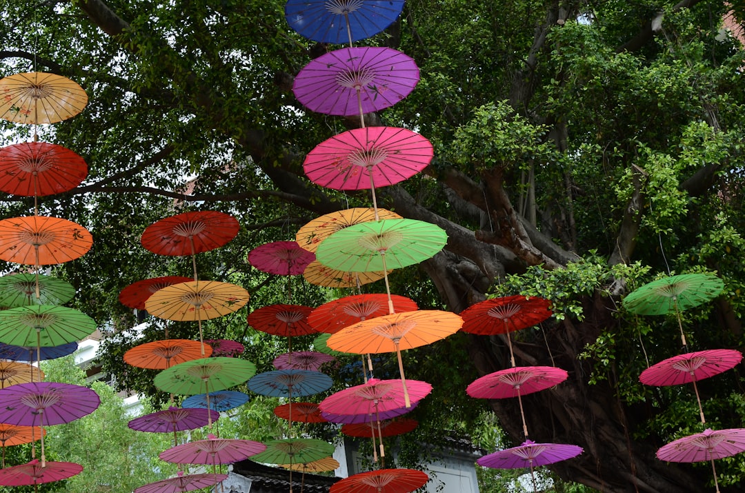 Splendid China Folk Culture Village