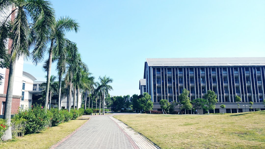 جامعة شيامن